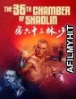 The 36Th Chamber Of Shaolin (1978) ORG Hindi Dubbed Movie BlueRay