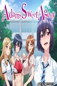 Adams Sweet Agony (2024) Season 1 Hindi Dubbed Web Series HDRip